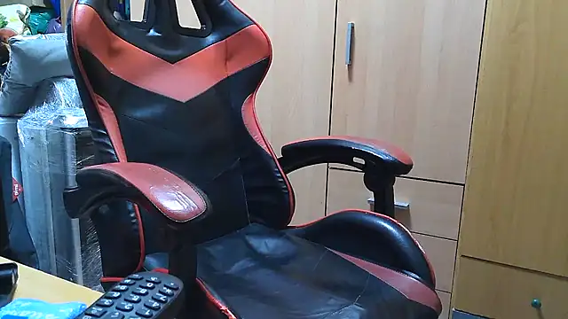 Javier_bear webcam