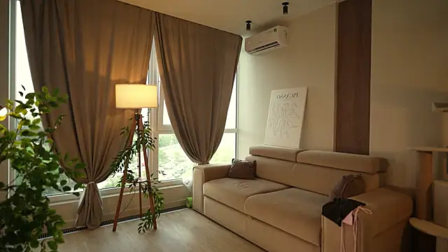 Tokyo_N webcam