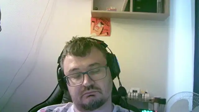 SirAbuser webcam
