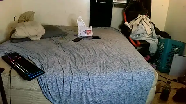 YoBleez webcam