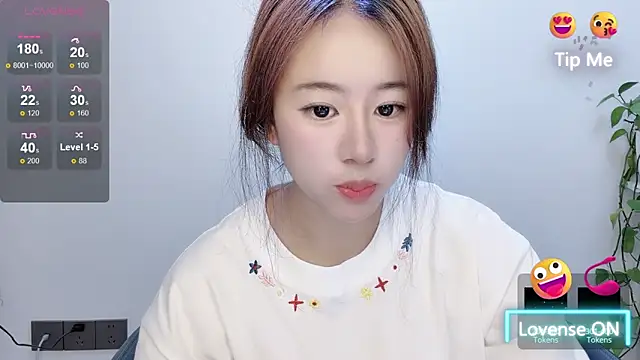 Baixi-01 webcam