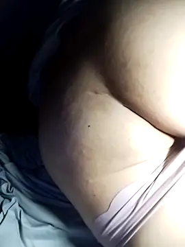 -sansan- webcam