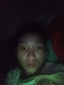 Hiniyk2 webcam