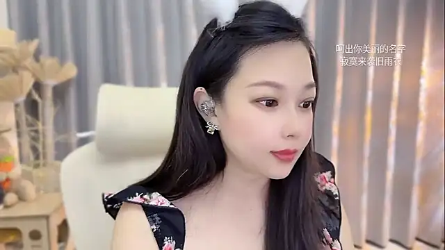 facai-feifei webcam