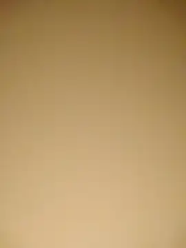 arsu001 webcam