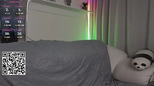 _Lua__ webcam