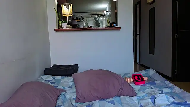 Matiashorney webcam