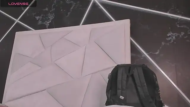 AerumChae webcam