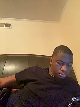 ThickDic28 webcam