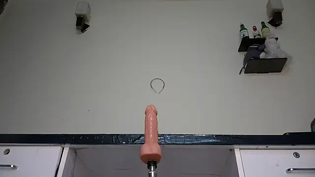 ElegantMiss webcam