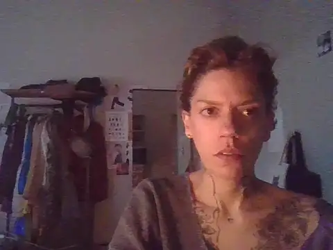 plsmecha webcam