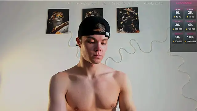 fromed webcam