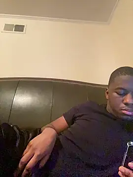 ThickDic28 webcam