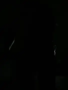 ASAMI137 webcam
