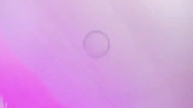 MishRaven webcam