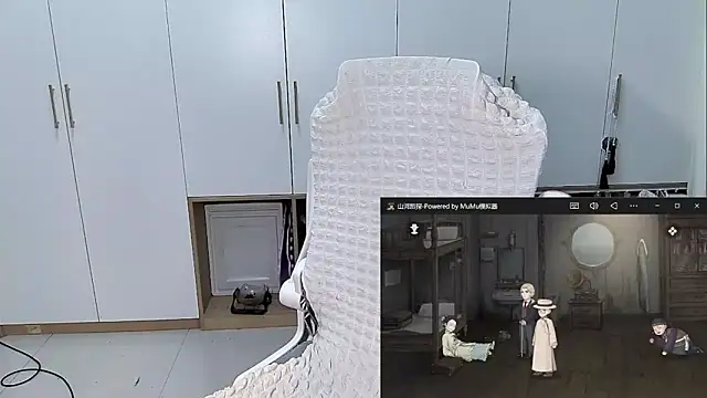 Erya-369 webcam