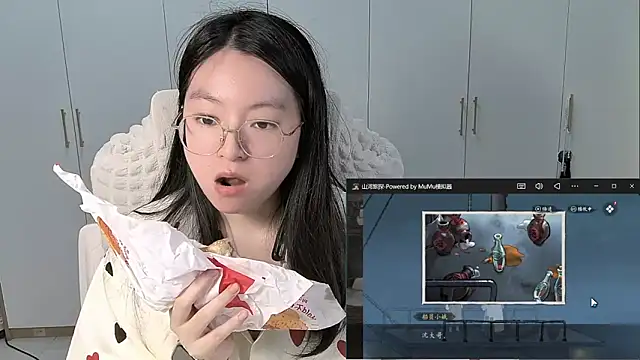 Erya-369 webcam