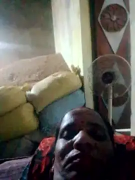 Anitarakkoli webcam