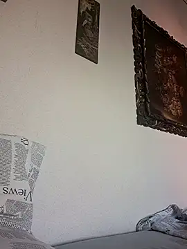 Sony28v webcam