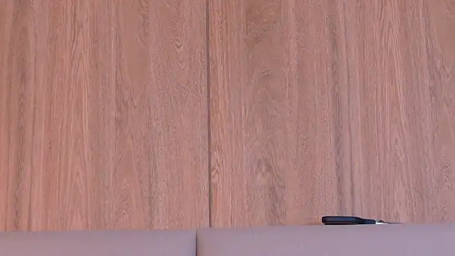 ZoehAngel webcam