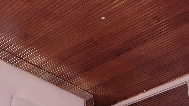 LannyShell webcam