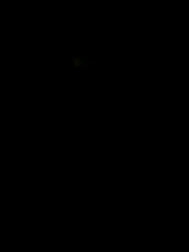 S7LEALTADPERVLIMA7 webcam