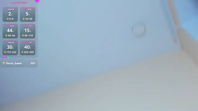 PorcelainBun webcam