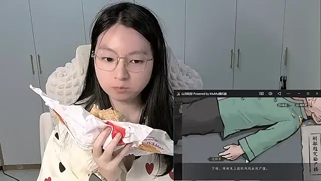 Erya-369 webcam