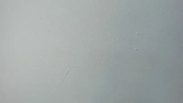 Charlie___Musk webcam