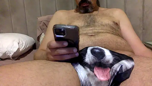 CaiBull