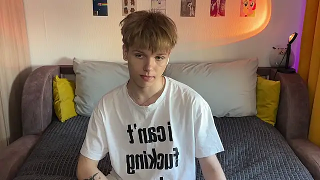 metarion webcam