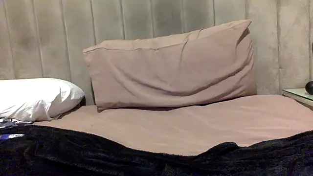 CaiBull webcam