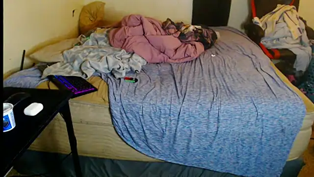 YoBleez webcam