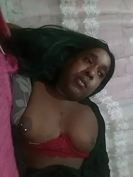 Modelo: Hellentrans24