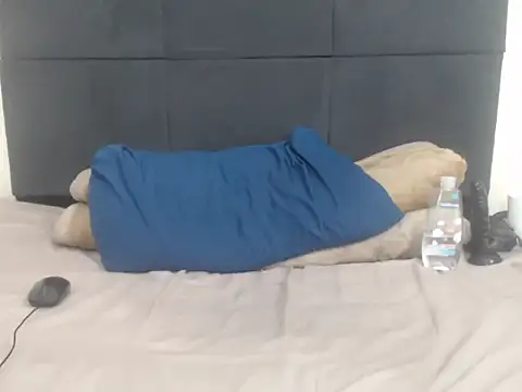 CronicaDass webcam