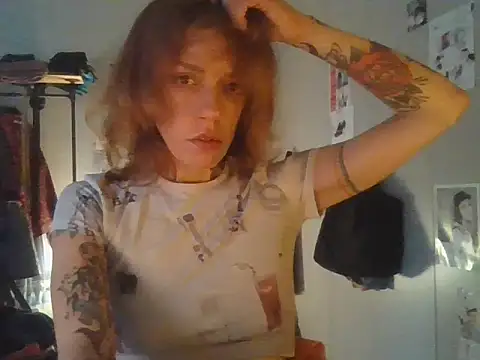 plsmecha webcam