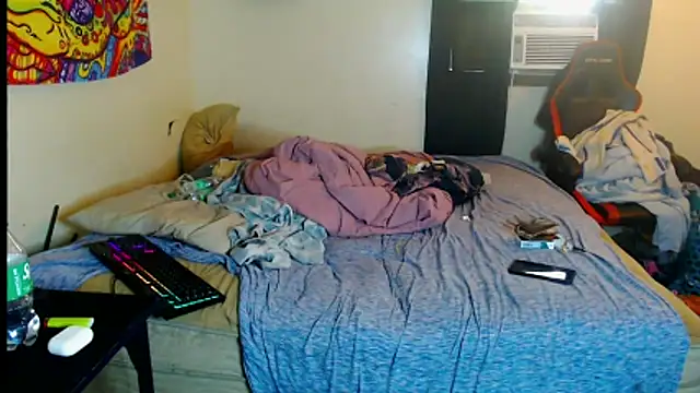 YoBleez webcam