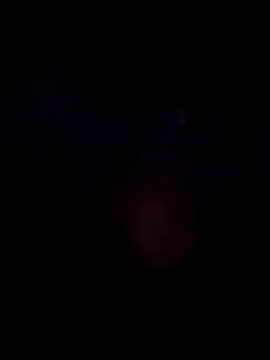 Flacara100 webcam
