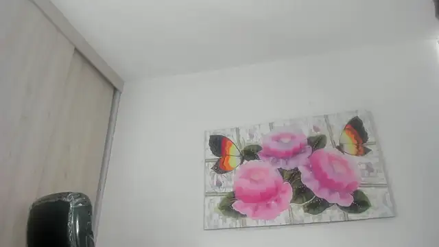 barbie_ds webcam