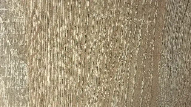NoFace_Model webcam