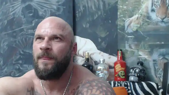 viking_30