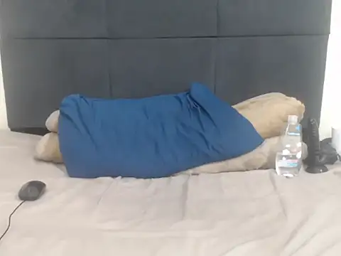 CronicaDass webcam