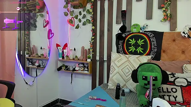 MeowMota_ webcam