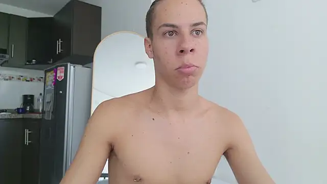 grey___27 webcam