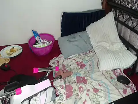 Whimsicalwillow webcam