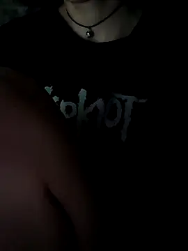 Aashikalaa webcam