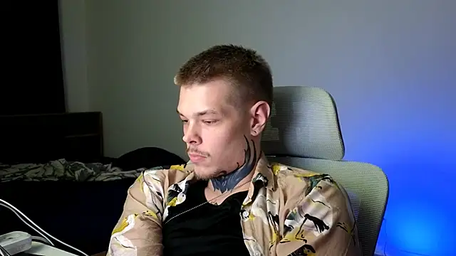 DENIS_HERE webcam