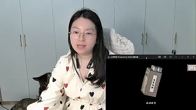 Erya-369 webcam