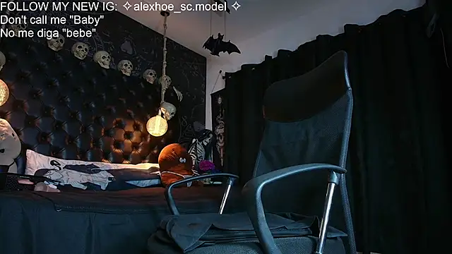 AlexHoe_ webcam