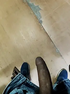 Desicouple2909 webcam